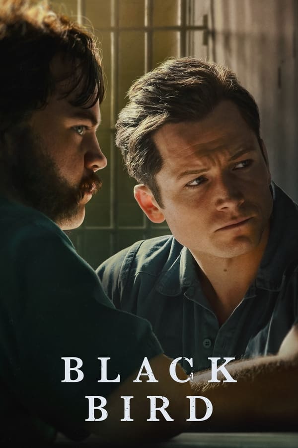 Black Bird(Tv series)